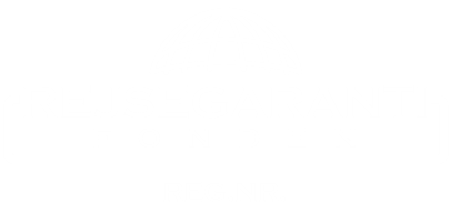 Logo fra Danmarks rejse garantifond