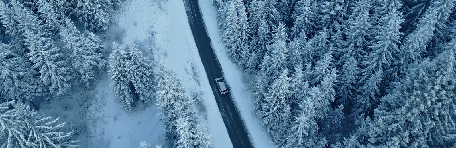 Kr selv, s bestemmer I selv farten