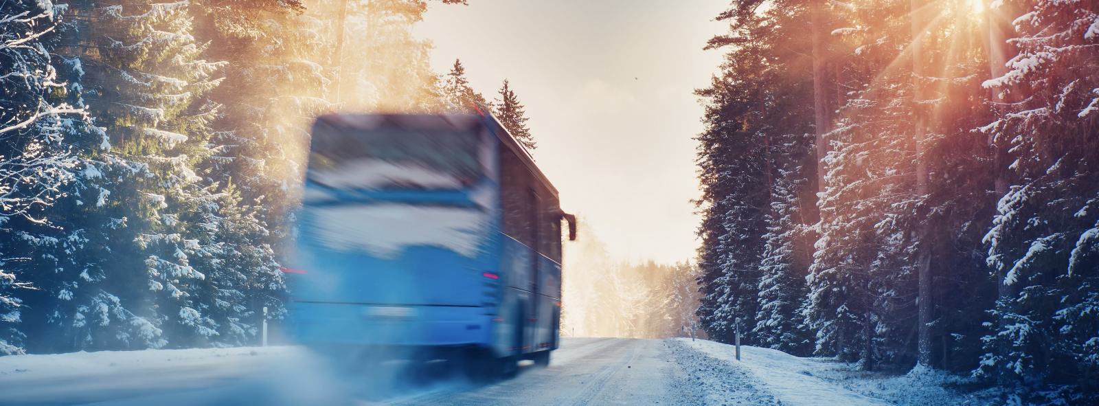 Tag til Alperne i vores luksusbusser